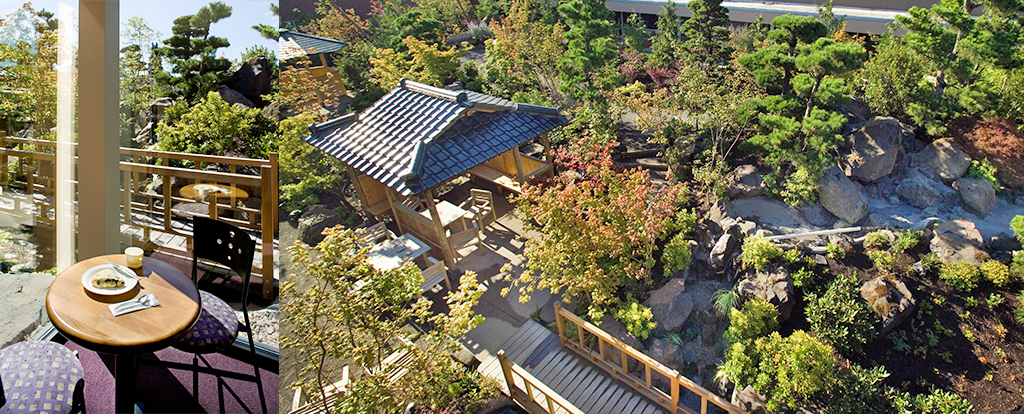 Aerial of Japanese garden